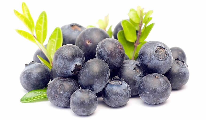 acai berry scam or real